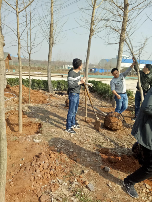 1521513542601384.png blob.png